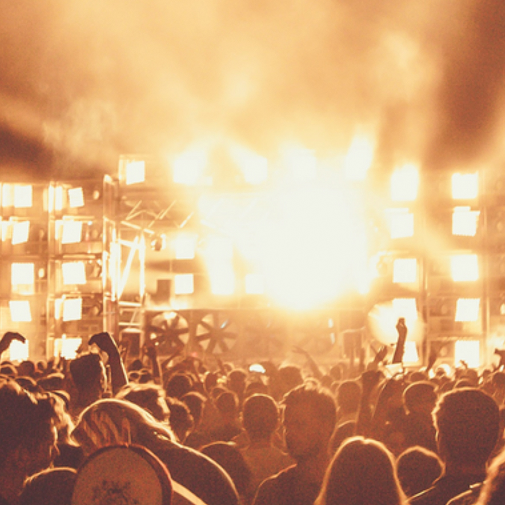 Health Council of the Netherlands study hearing damage caused by amplified music at concerts